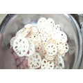 FC-311 Stainless Steel Lotus Root Cube Cutting Machine, Slicer